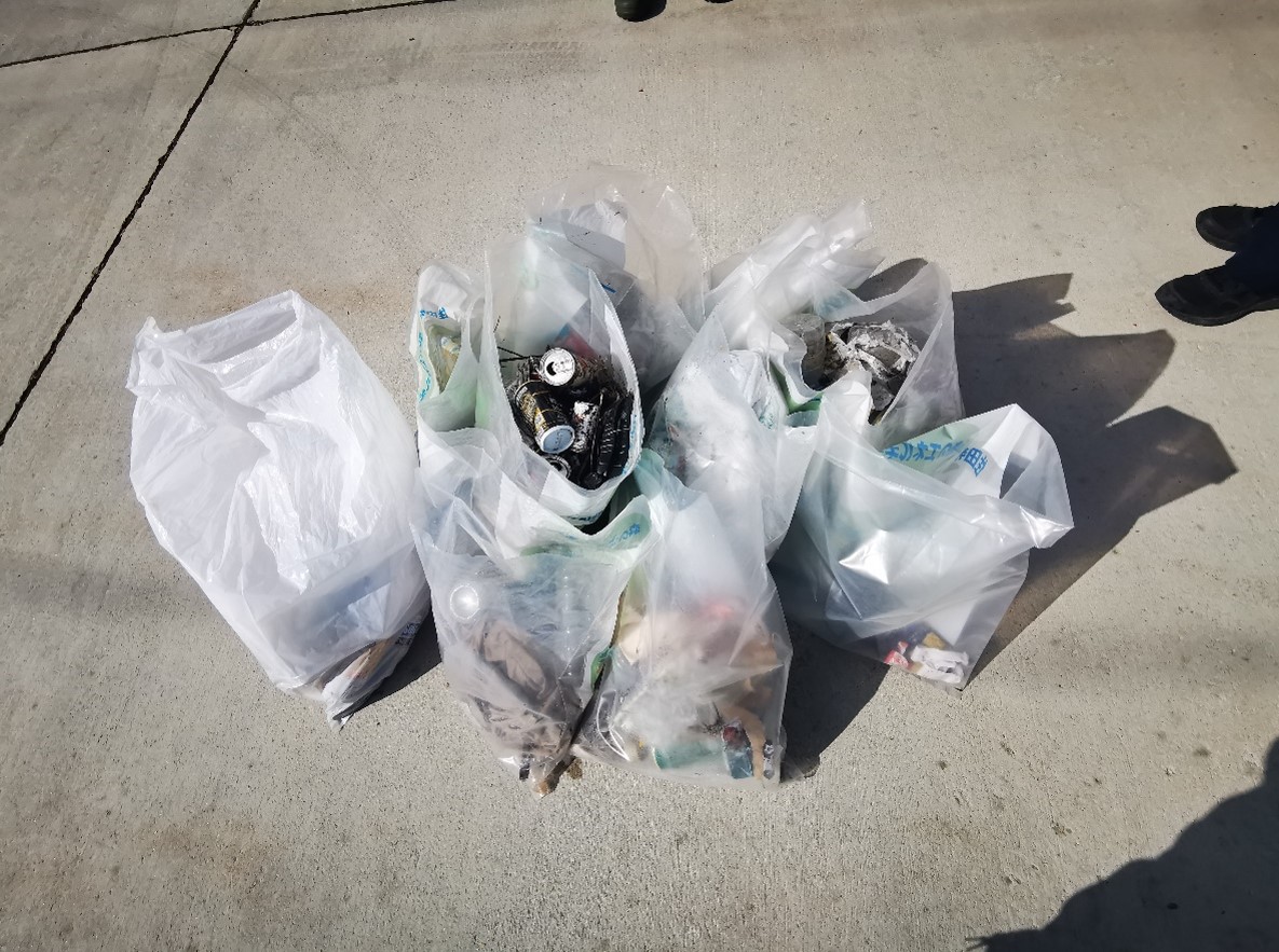 クリーンアップ写真