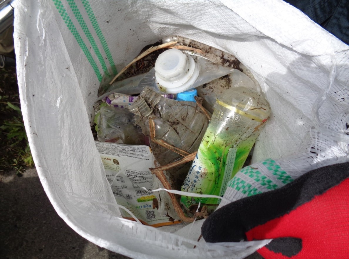 クリーンアップ写真