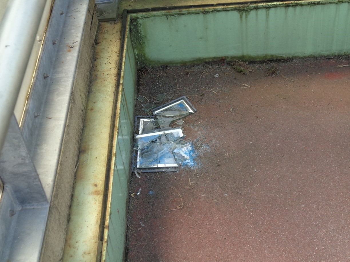 クリーンアップ写真