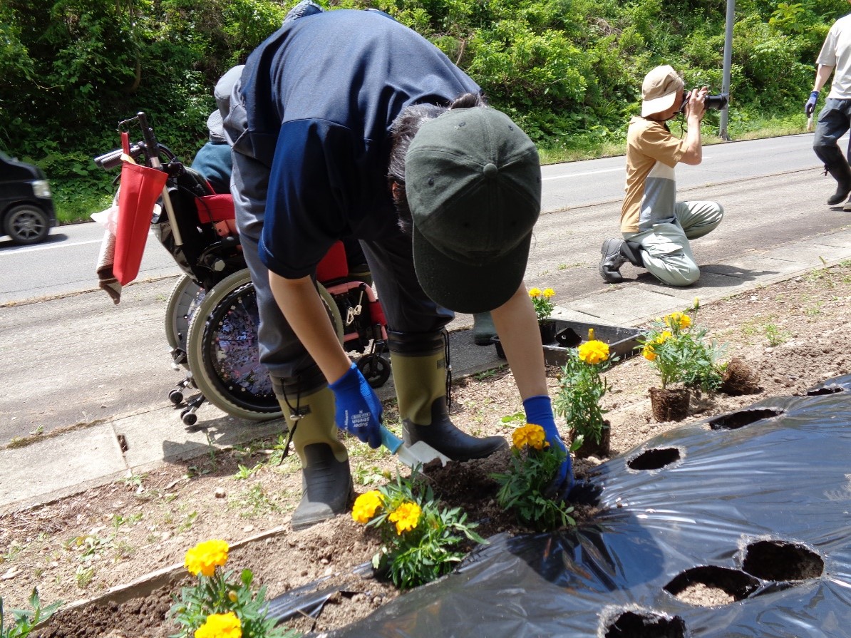 花植えの写真１