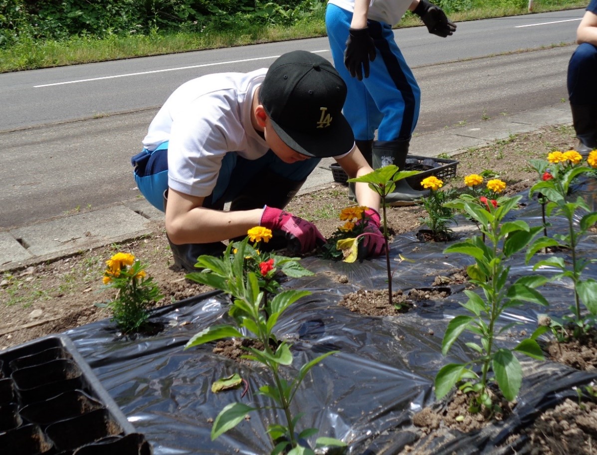 花植えの写真２