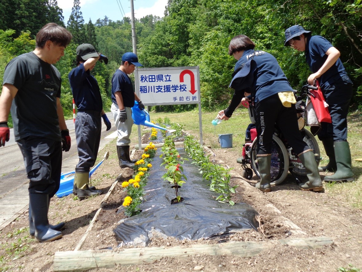 花植えの写真３