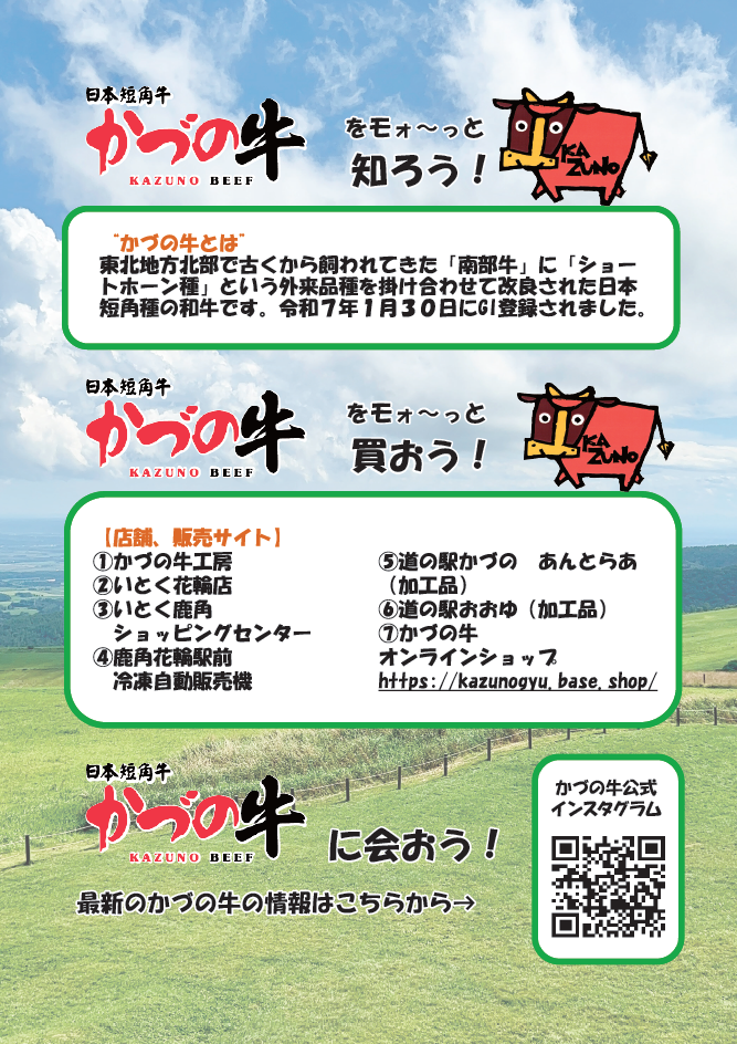 チラシ表