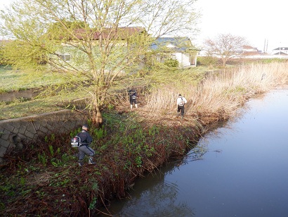 井川町のクリーンアップ