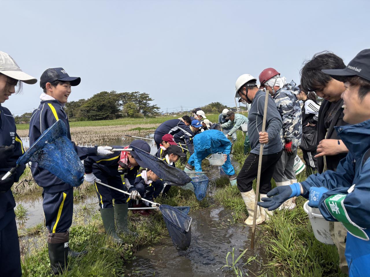 職員と協力して生き物を探します