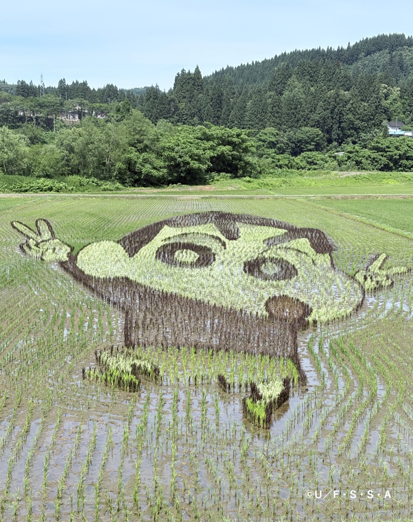画像１