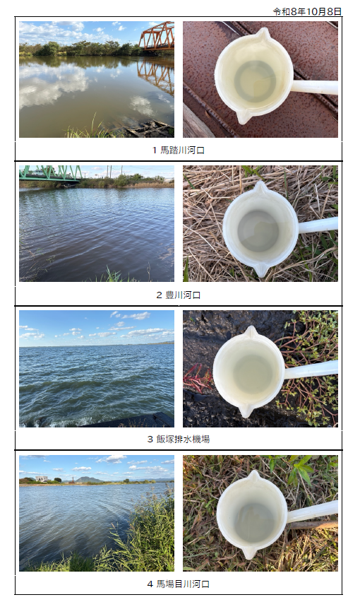写真（10月8日）