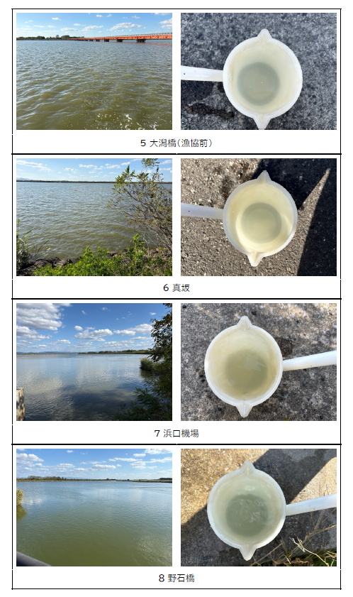 写真（10月8日）