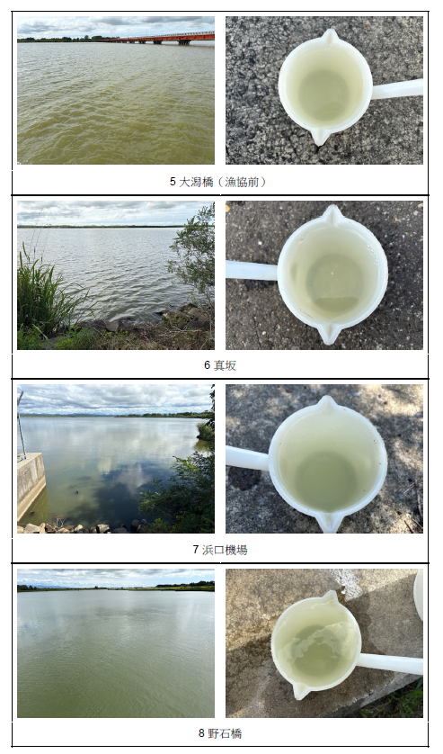 写真（9月8日）
