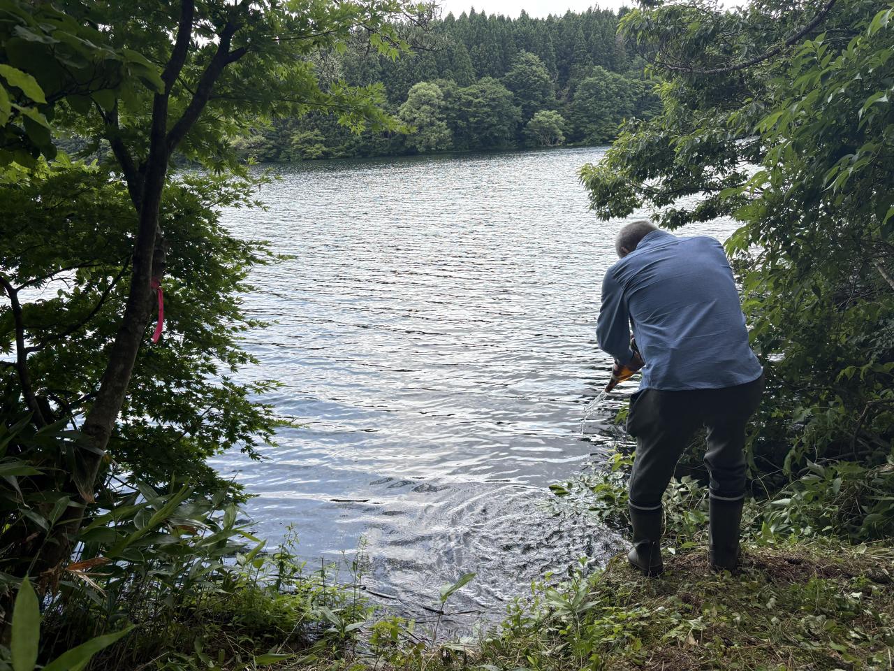 ため池に御神酒を注ぐ様子