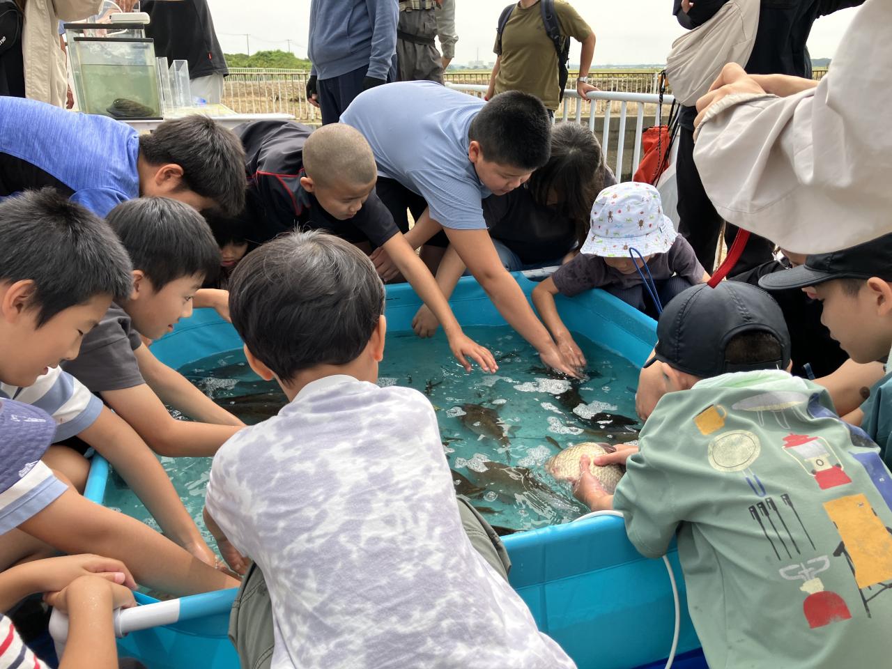 水路での生き物調査