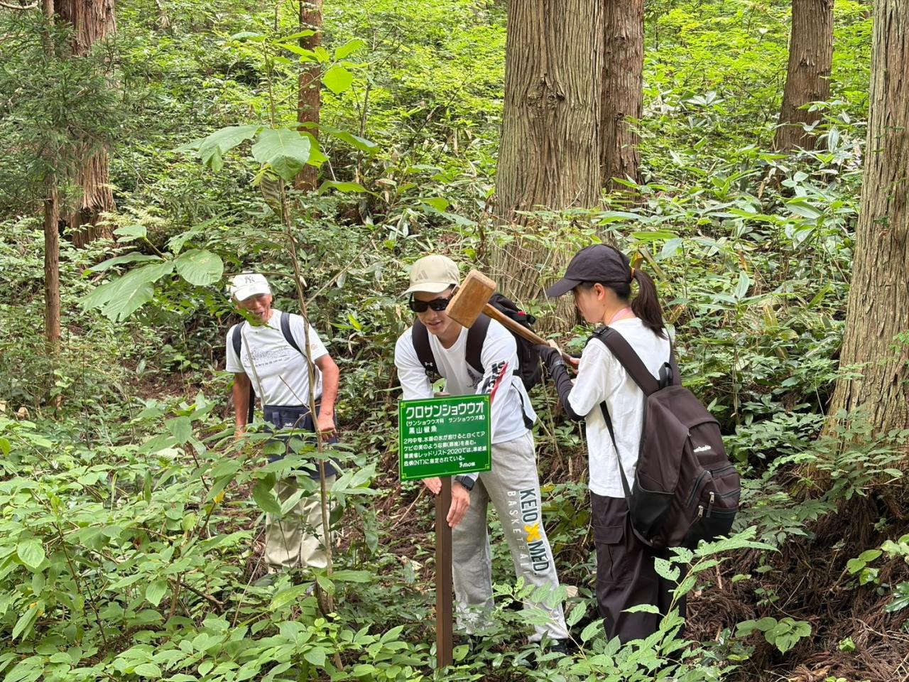 森山登山