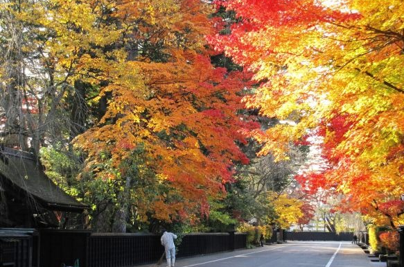 角館武家屋敷の紅葉