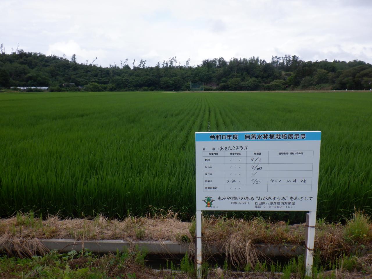 7月21日西