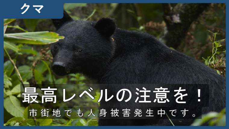 最高レベルの注意を！　市街地でも人身事故発生中です。