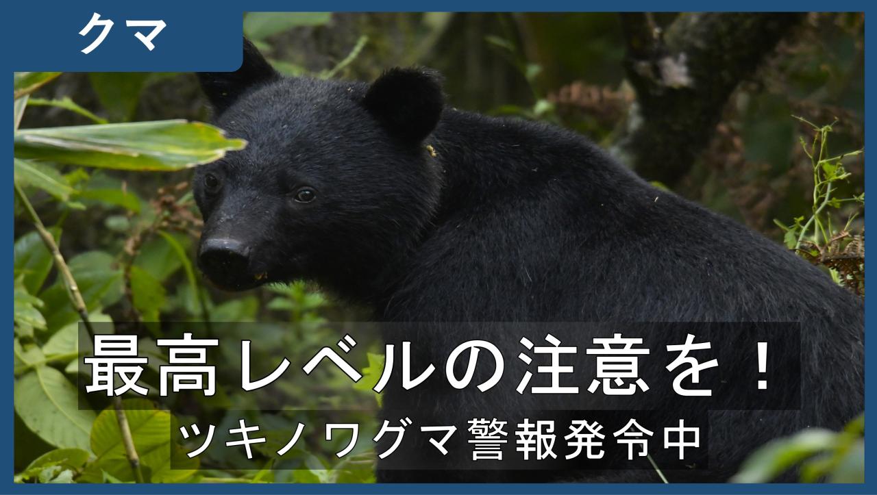 最高レベルの注意を！　市街地でも人身事故発生中です。