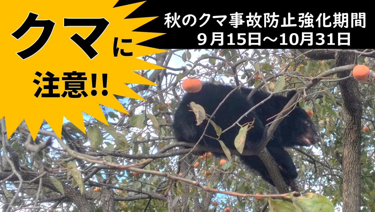 画像（バナー）クマ
