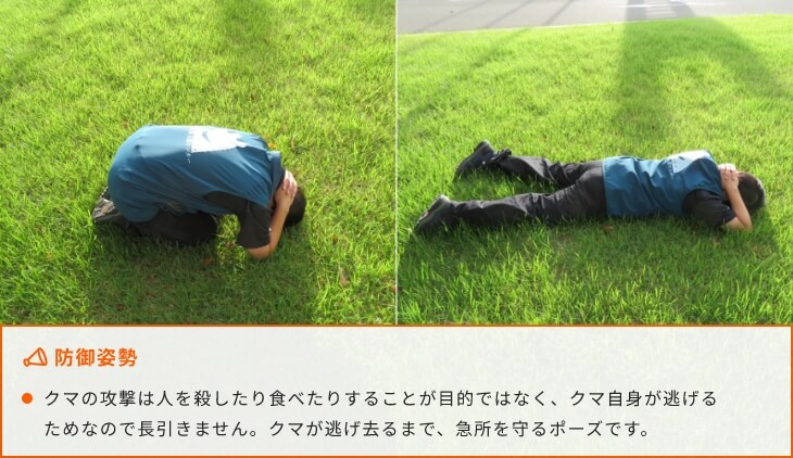 防御姿勢 クマの攻撃は人を殺したり食べたりすることが目的ではなく、クマ自身が逃げるためなので長引きません。クマが逃げ去るまで、急所を守るポーズです。