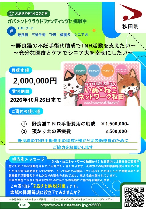 画像:INNW寄附募集チラシ