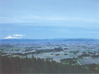 写真：山頂からの景色