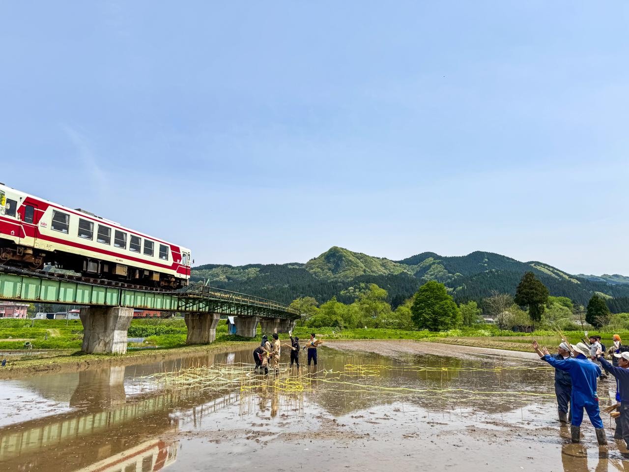 田んぼアート測量