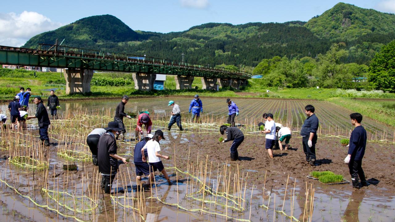 田んぼアート平里