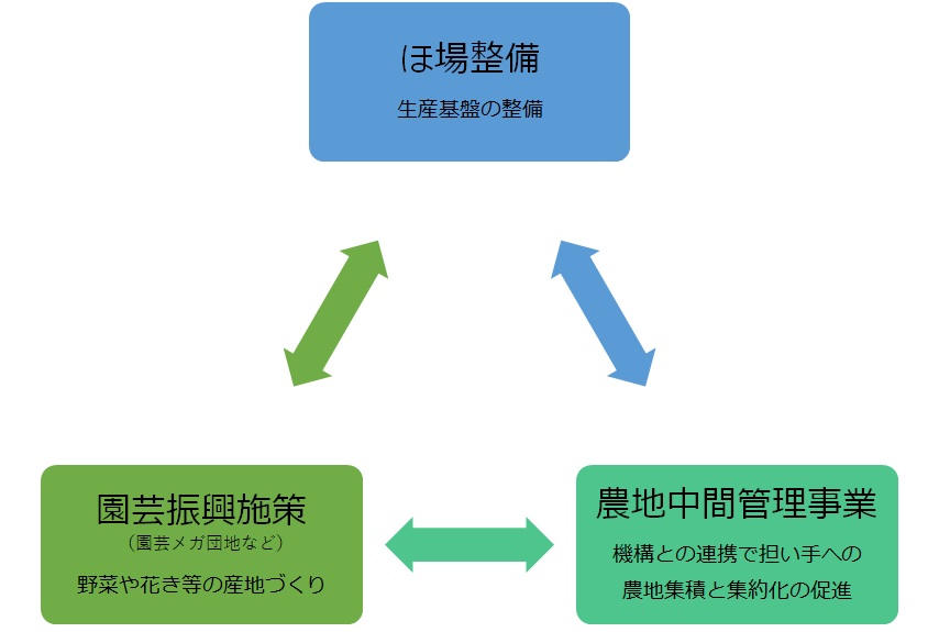 模式図