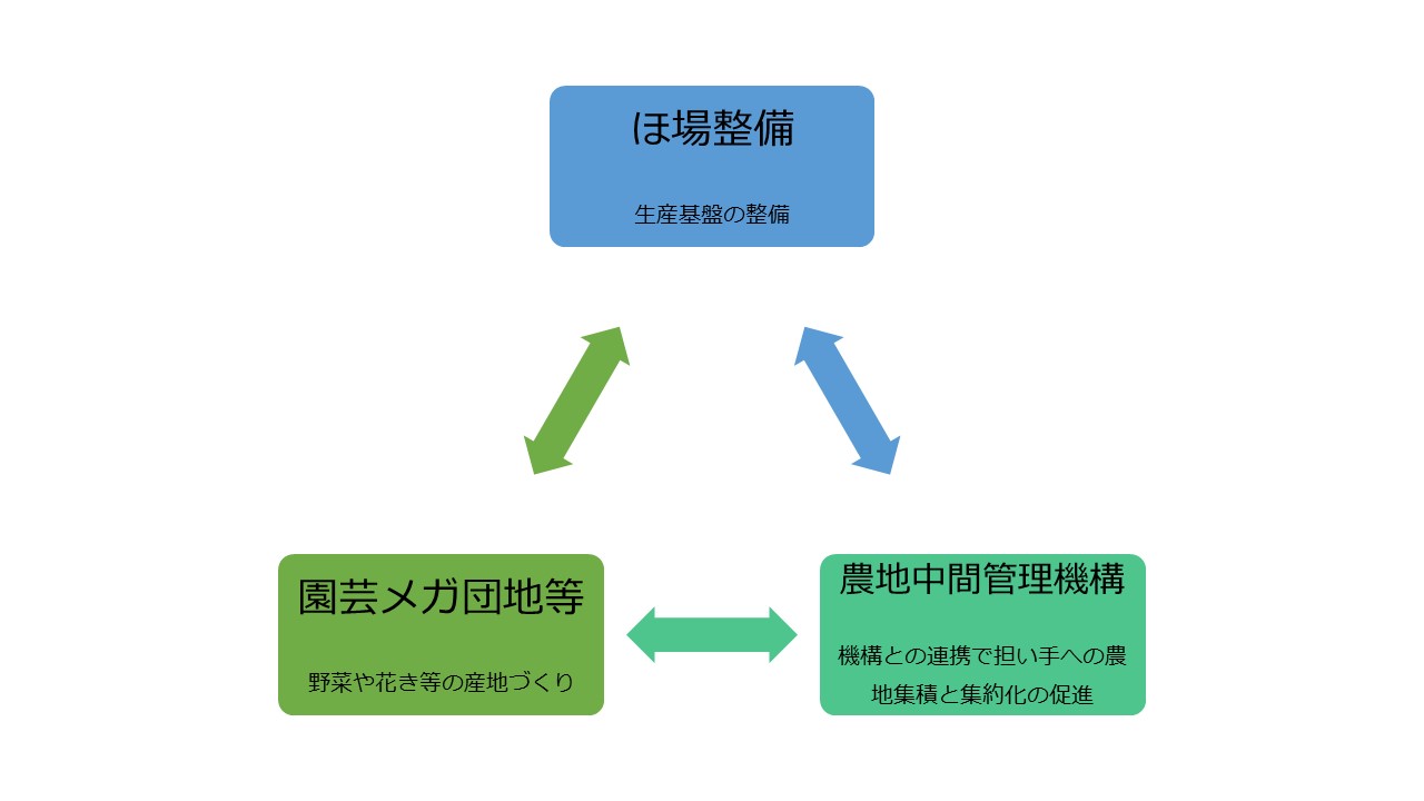 模式図