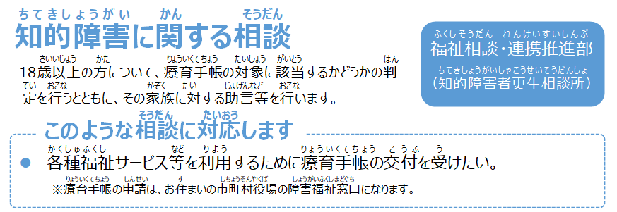 知的障害に関する相談