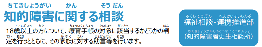 知的障害に関する相談