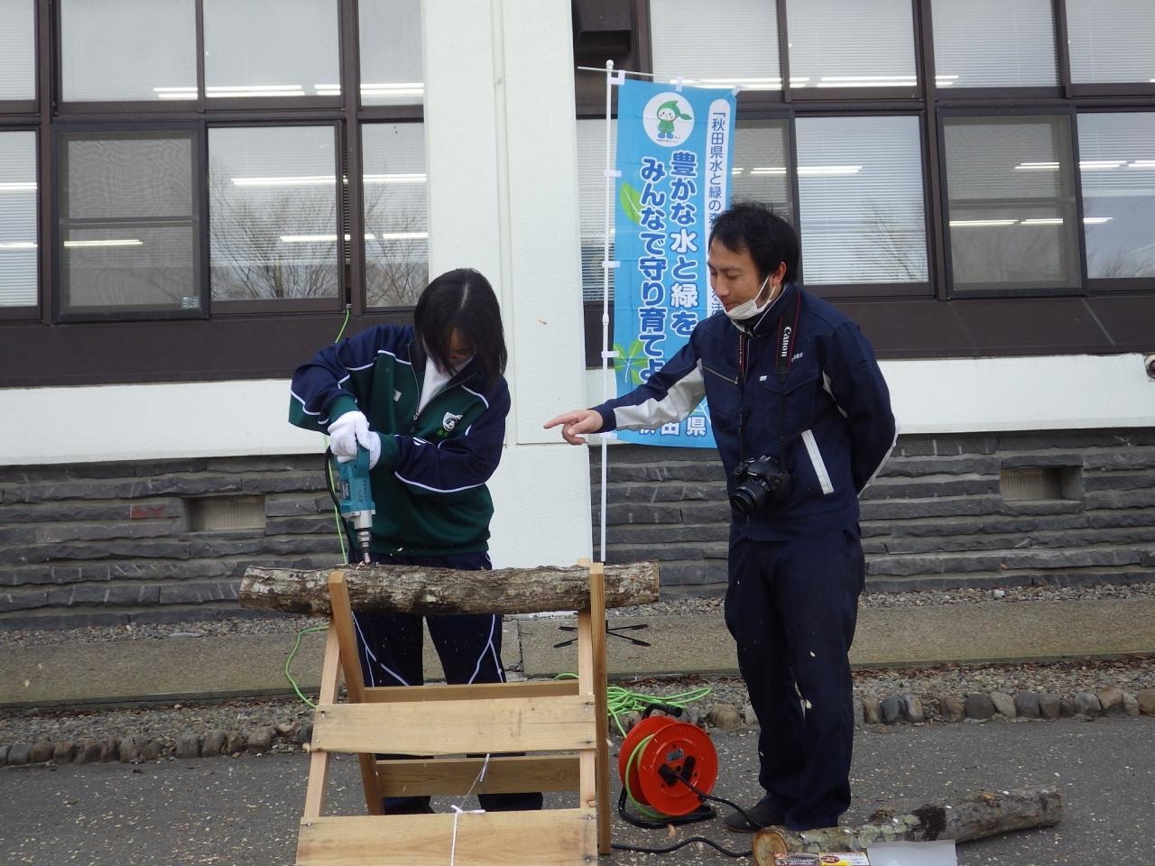 (1)ほだ木に電動ドリルで穴あけ作業