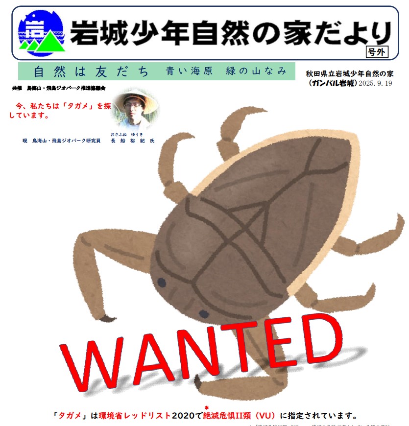 wanted